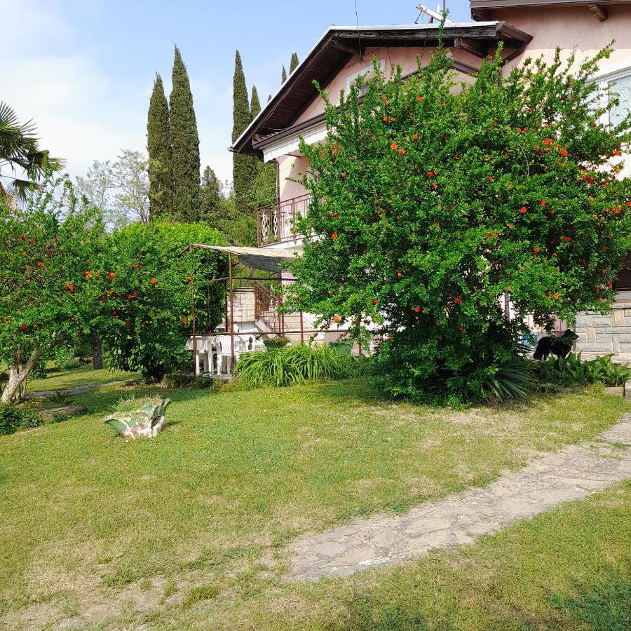 Apartma Mari Appartamento Lucija Esterno foto